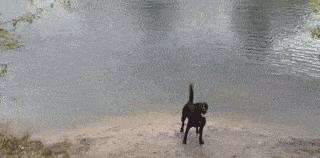 厕所|搞笑GIF动图：终于完成了我小时候想最想观察的结果之一