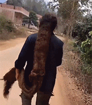 世外|搞笑GIF：十几年没洗头的世外高人重出江湖。看到没