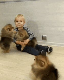 旅社|搞笑GIF：像不像精灵旅社里的小狼女？