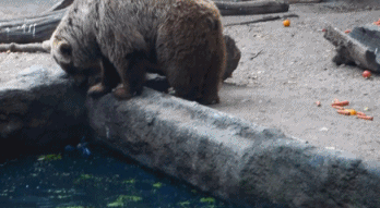 今年|搞笑gif:今年最流行的理发工具,大家看看怎么样!