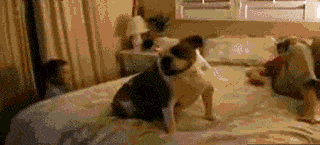 全行|搞笑GIF趣图:道路积水,村里的老少爷们全行动起来了