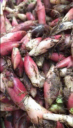 就是|搞笑GIF趣图:如果你知道这叫什么,那么我们可能就是老乡