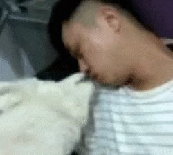 转角|搞笑GIF: 转角不一定会遇到爱, 也可以是男人最痛