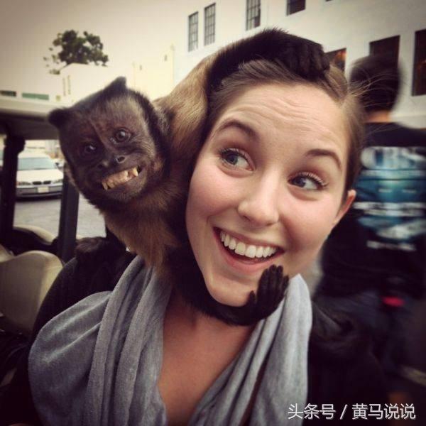 羊奶|爆笑趣图：奇葩动物搞笑来袭，请大家做好准备