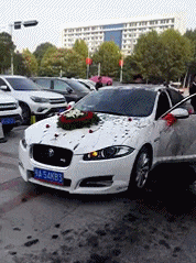 还是|搞笑GIF趣图:妹子,你到底是冲浪呢,还是太浪呢