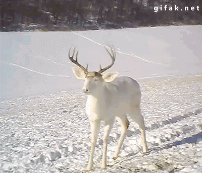 做头|搞笑GIF:小姐姐今天去做头发了吗?