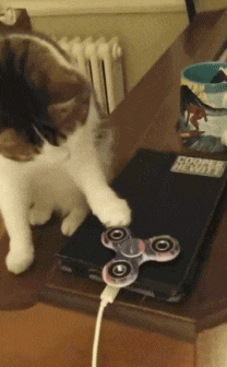 大起大落|人生大起大落, 真是太刺激了!