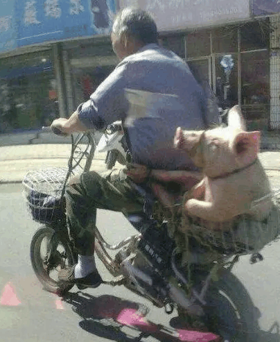 刷子|搞笑GIF: 看妹子这姿势, 看来没两把刷子还真干不了摄影呀!