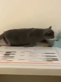 哭笑不得|搞笑GIF趣图：一坑连着坑，把自己坑的哭笑不得