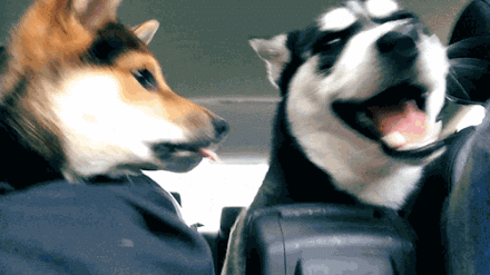 老婆|娶了这样的老婆真幸福啊