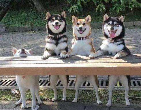 抠门|搞笑GIF: 你这人也太抠门了吧, 等半天就给我这个数