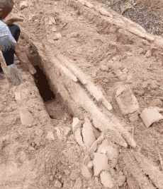 铅球|爆笑GIF秀：看你俩谁能抢过谁!