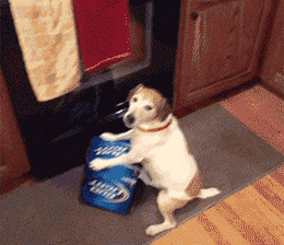 老婆|娶了这样的老婆真幸福啊