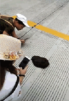 牛粪|搞笑GIF趣图：实在是找不到伴娘了，于是只能这样了