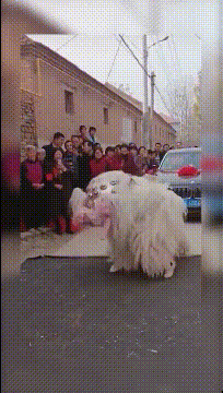 放进|搞笑GIF:我再也不玩这种傻X游戏了