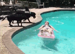 队友|遇上坑爹的狗队友,总是让人毫无防备又哭笑不得!