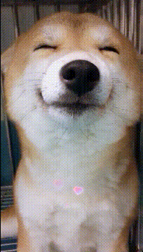 手指甲|搞笑GIF：妹子，赶快剪剪你的手指甲吧