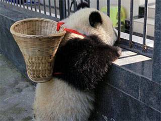 杯水|搞笑GIF: 别再向后退了,快来接住这杯水!