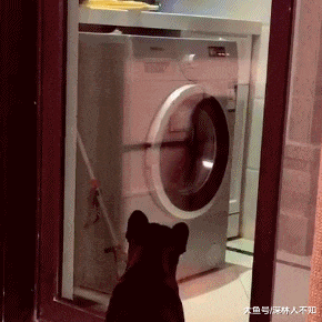 洗衣机|GIF搞笑趣图: 你要取多少？