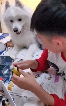 还是|搞笑GIF趣图：妹子，你到底是冲浪呢，还是太浪呢