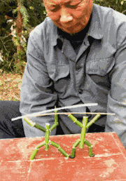 哥们|搞笑GIF趣图：皮皮豹我们走，去找一个男朋友