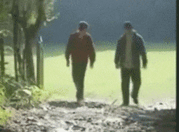 哥们|爆笑GIF: 哥们, 不是对手打败了你, 是你自己打败了自己