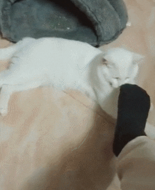 妹子|搞笑GIF: 就服你们, 硬是把掰手腕弄成跟干架一样