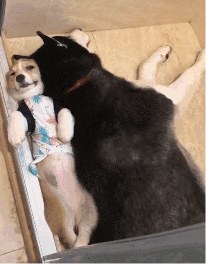 跆拳道|不要看不起自行车