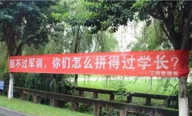 评论|学生军训老晕倒,多半是装的,打一顿就好