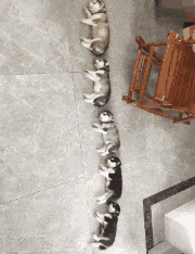 节奏|这颜色咋回事啊！？这是褪色了的节奏啊！