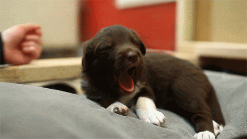 媳妇|搞笑GIF: 每次看到我媳妇对我这样, 我就觉得心里暖暖的