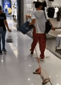 子真|搞笑GIF趣图：妹子，你养的狗子真可爱，能背着篓子逛超市