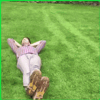 待会|搞笑GIF: 小伙子, 你这刹车踩的不是时候, 待会等着跪蛋糕吧。