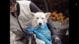 老大爷|搞笑GIF趣图：姑娘，应该没人抢你男朋友，你就放心坐车吧