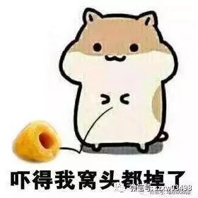 民警|笑喷！俩老太为1元钱，上演倒地闹剧：谁先起来谁吃亏！