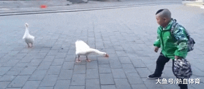 哥们|搞笑GIF：妈妈，我这个婚我不结了