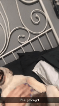 车展|搞笑GIF：我是来看车展的，真的！！