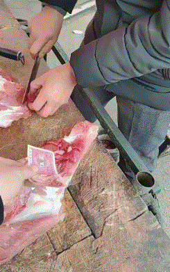 妹子|搞笑GIF趣图:家里没有电视机,只能用手机凑合着看了