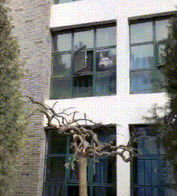 妹子|搞笑GIF：哥们，不就是结个婚吗？咋这一脸的不情愿