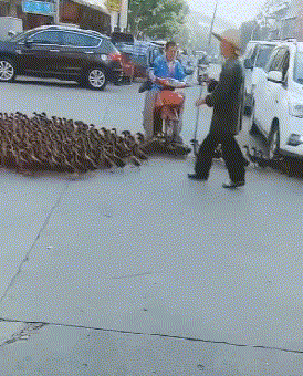 凉快|搞笑GIF:自制的半自动风扇,真是凉快呀