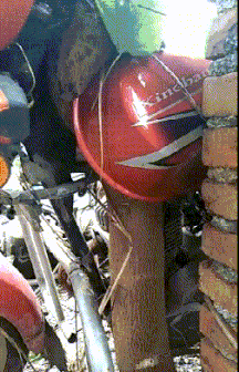 融为一体|搞笑GIF：如今摩托车和这棵树已经融为一体了。