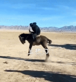 妹子|爆笑GIF: 妹子, 你虽然是个高人, 但是衣服不能这样穿