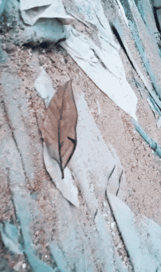 妹子|当妹子看到帅哥的时候~眼神都发光了!