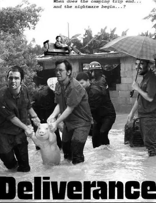 师兄|那只从台风中救出来的猪,被恶搞成表情包了