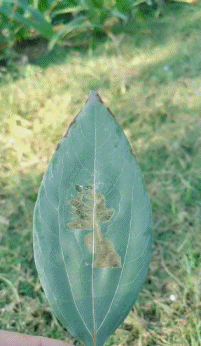 淡定|搞笑GIF:淡定点啊,咱们可是大老远跑过来的