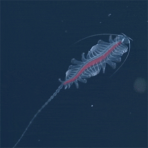 媳妇|搞笑GIF: 每次看到我媳妇对我这样, 我就觉得心里暖暖的