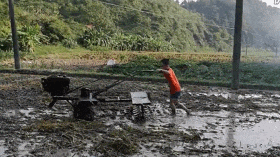 帅哥|搞笑GIF:穷人家的孩子早当家