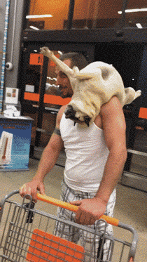 帅哥|搞笑GIF:穷人家的孩子早当家