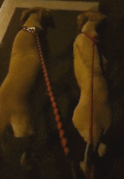 餐巾纸|美女被闺蜜下套吃麻辣餐巾纸,防不胜防!