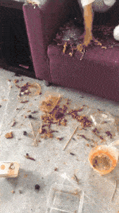 搞笑|搞笑GIF动图：我都睡一觉了，还没跳完？